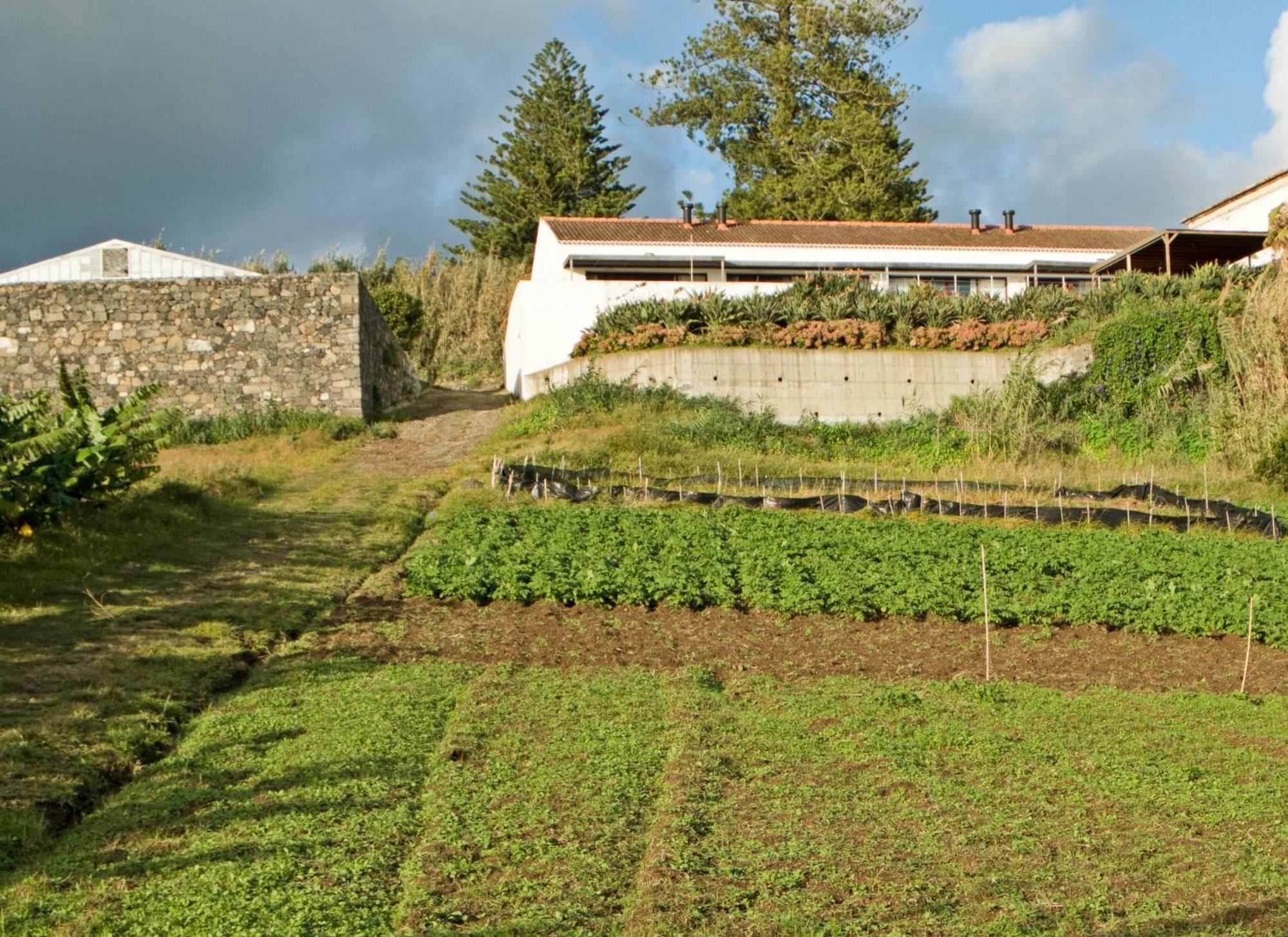 Willa Qva - Quinta Velha Das Amoreiras Vila Franca do Campo Zewnętrze zdjęcie